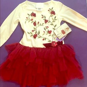 Pretty 4T tutu dress- Perfect for Fall- NWT